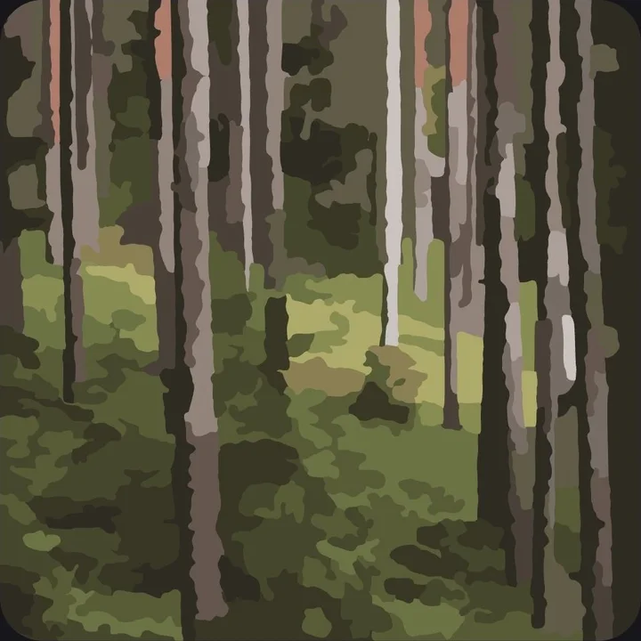 The coloring page made from the photo, Balanced detail