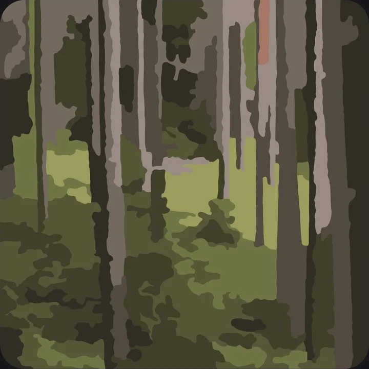 The coloring page made from the photo, Calm detail