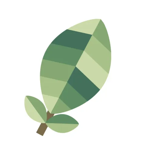 First Leaf